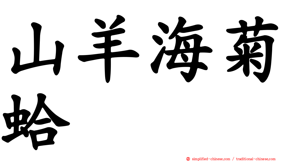 山羊海菊蛤