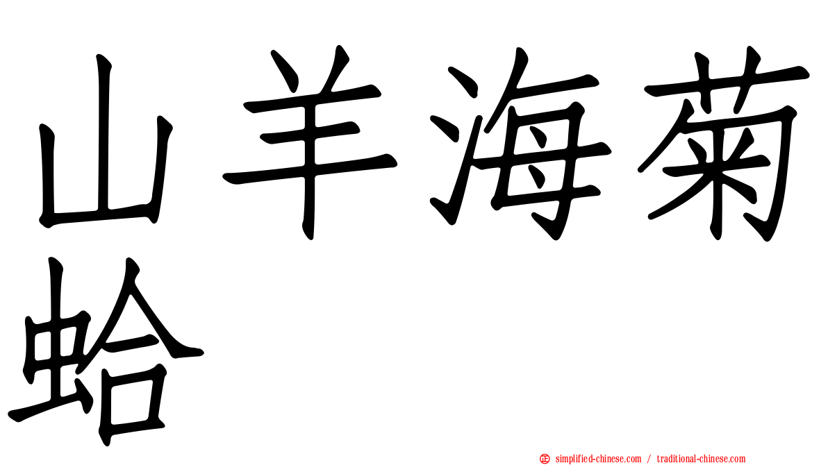 山羊海菊蛤