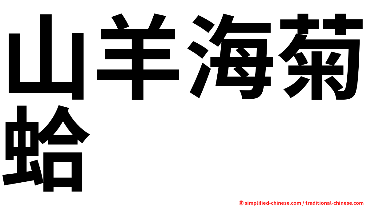 山羊海菊蛤