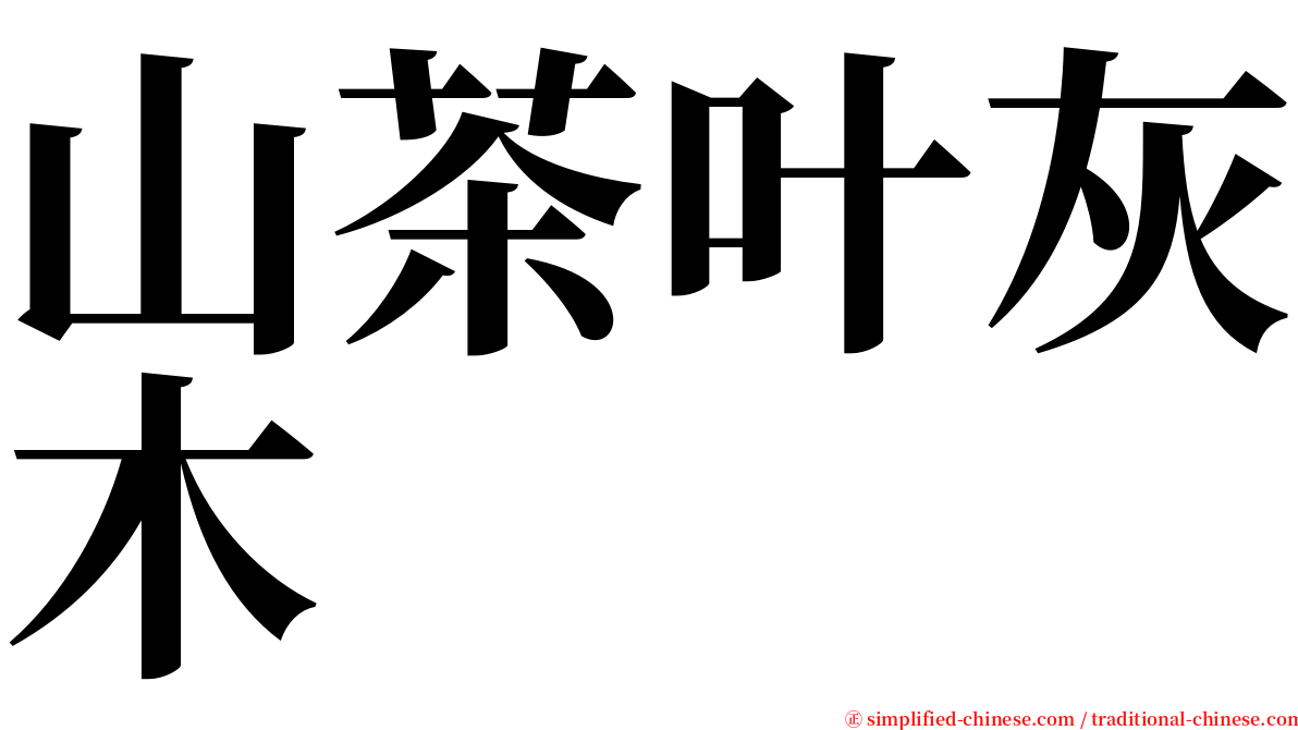 山茶叶灰木 serif font