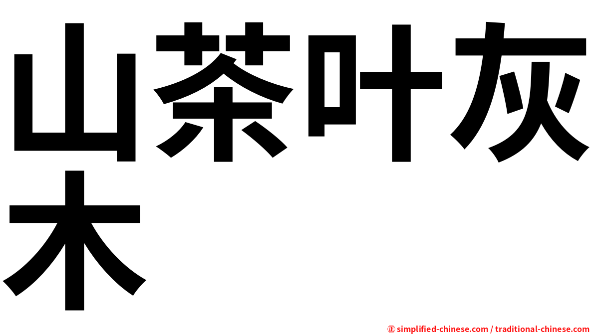 山茶叶灰木