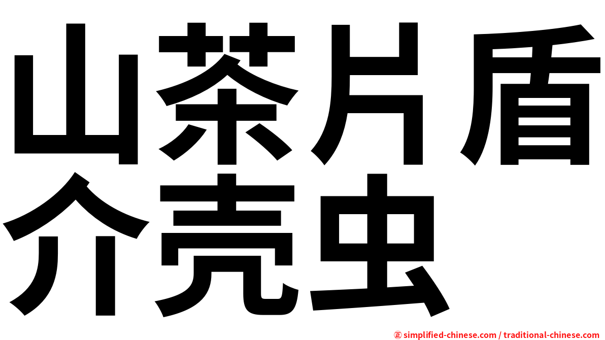 山茶片盾介壳虫
