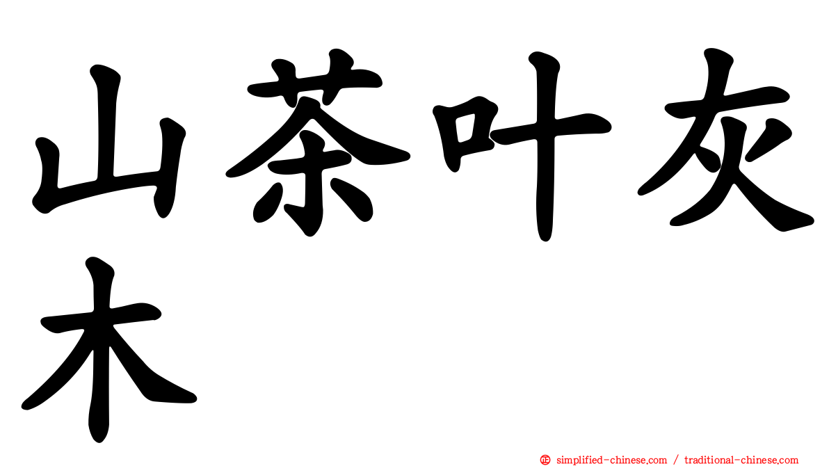 山茶叶灰木