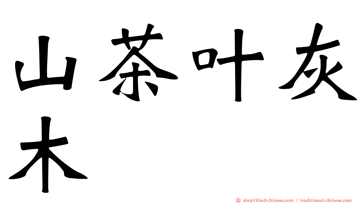山茶叶灰木