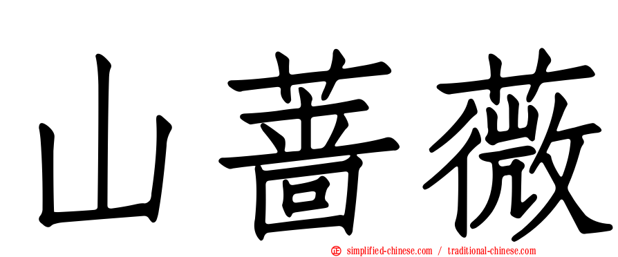山蔷薇