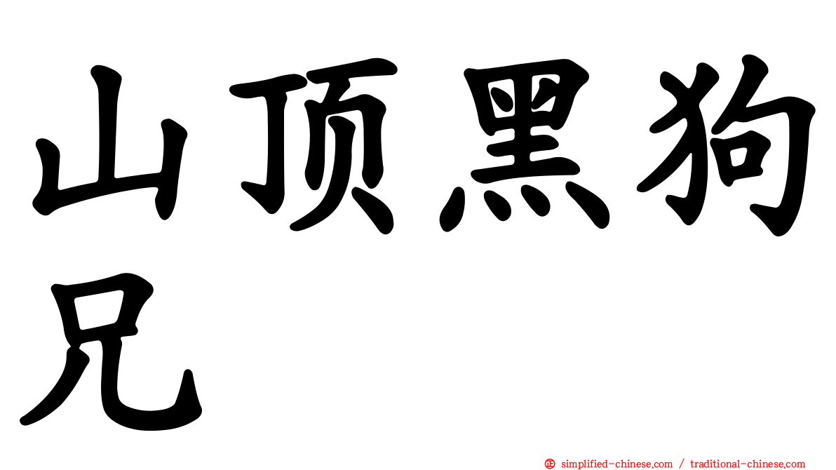 山顶黑狗兄