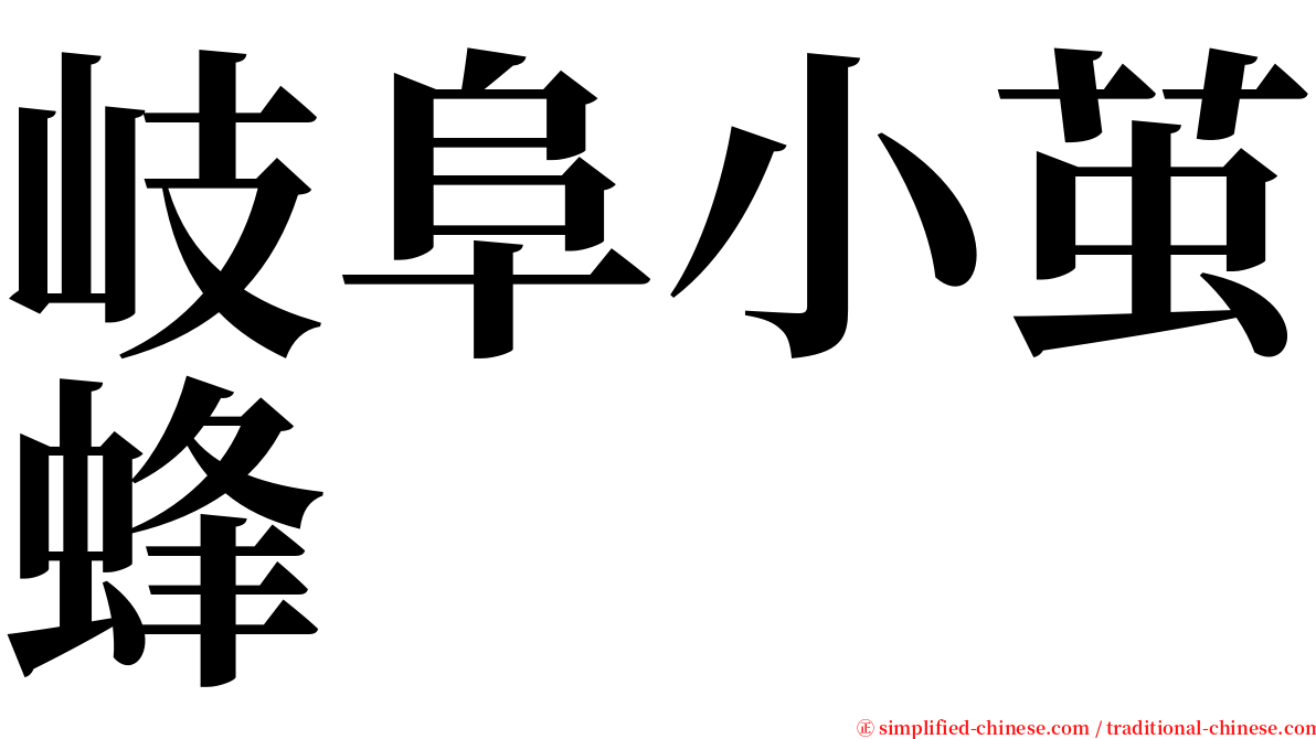 岐阜小茧蜂 serif font