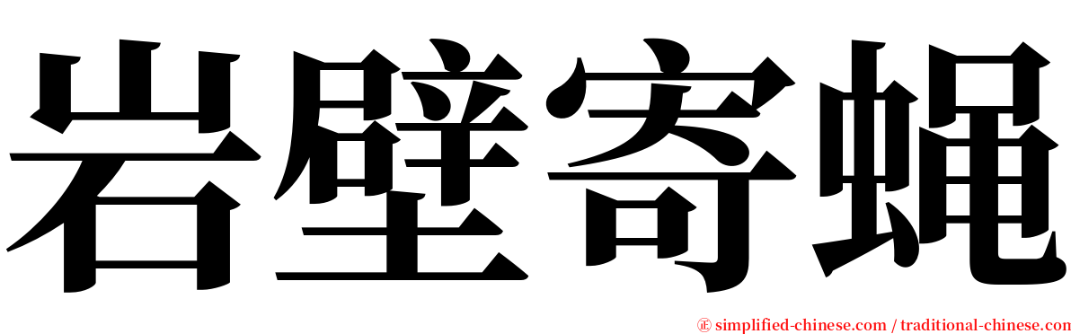 岩壁寄蝇 serif font