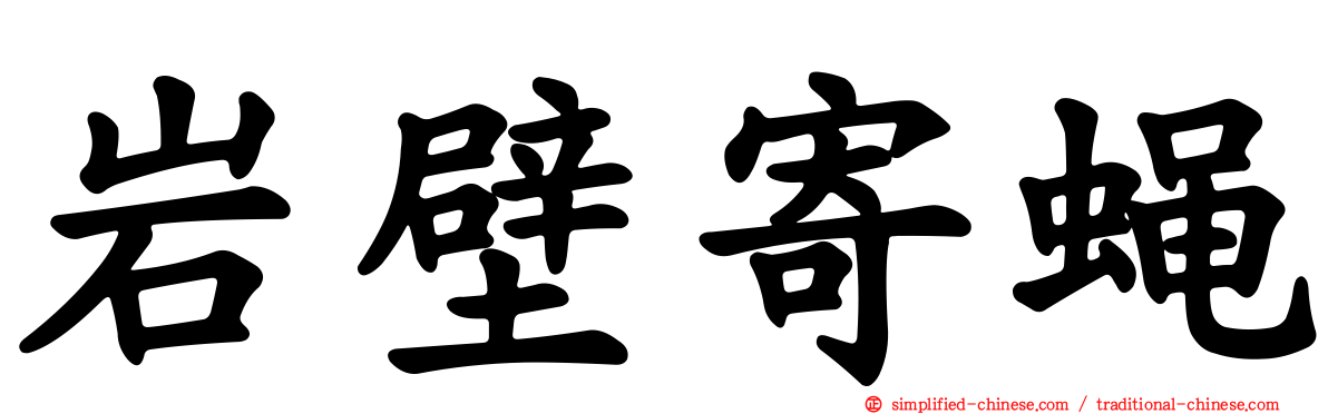 岩壁寄蝇