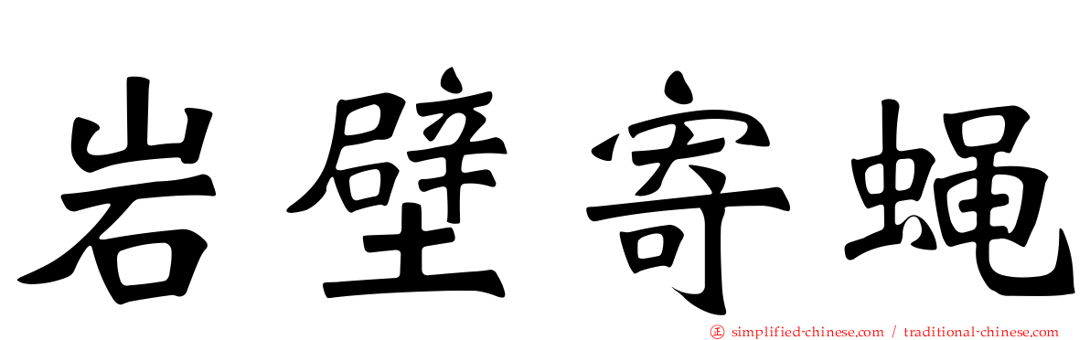 岩壁寄蝇