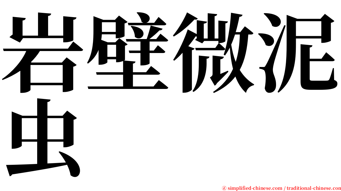 岩壁微泥虫 serif font
