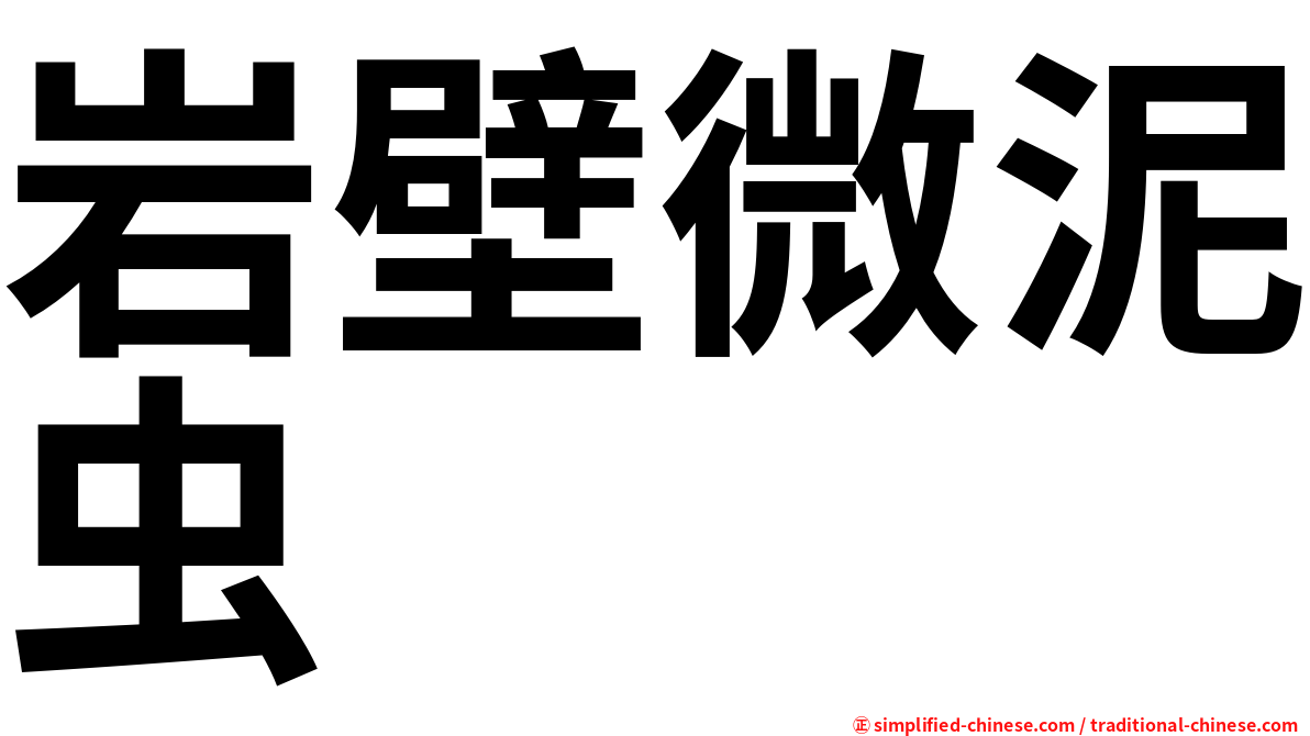 岩壁微泥虫