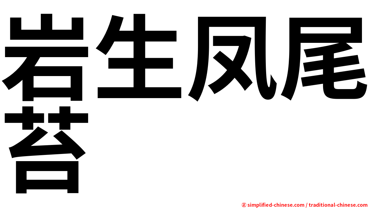 岩生凤尾苔