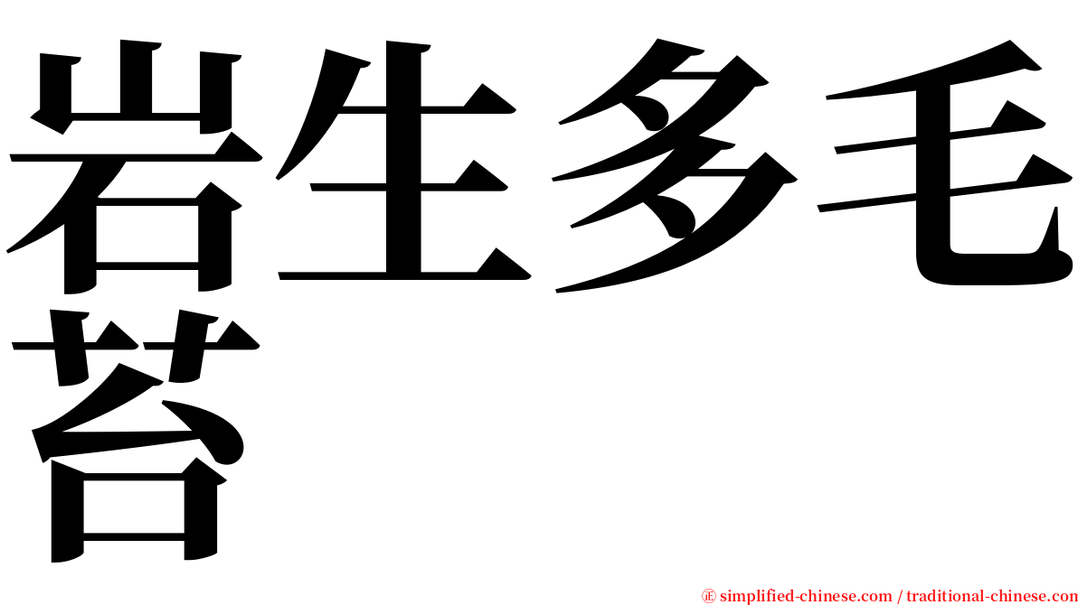 岩生多毛苔 serif font