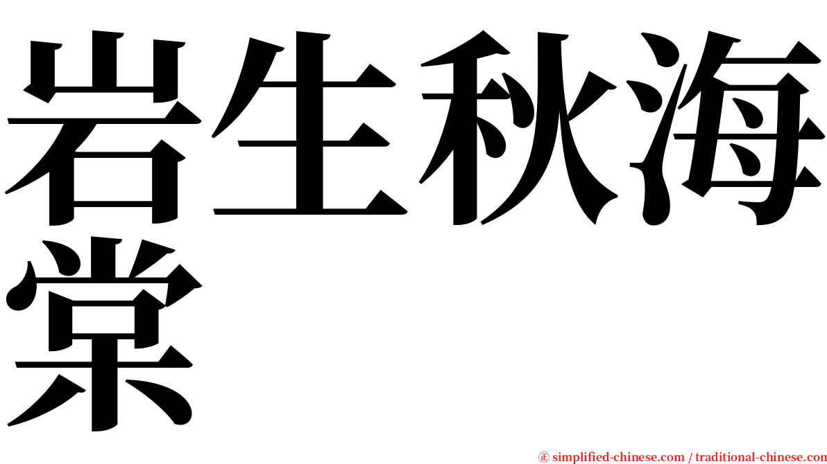 岩生秋海棠 serif font