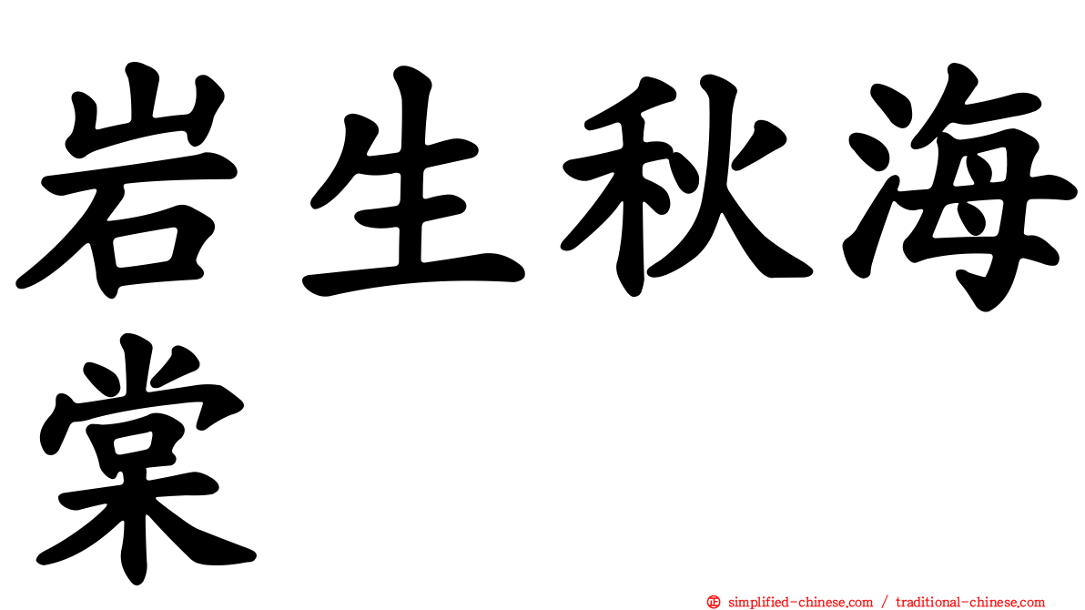 岩生秋海棠