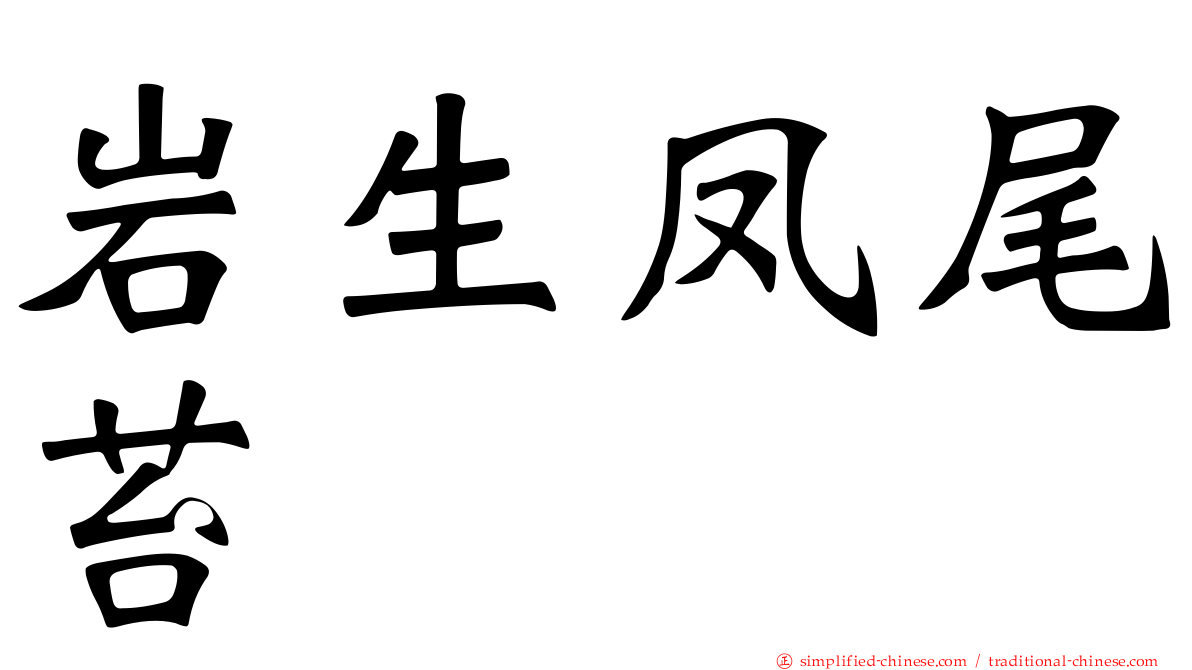 岩生凤尾苔