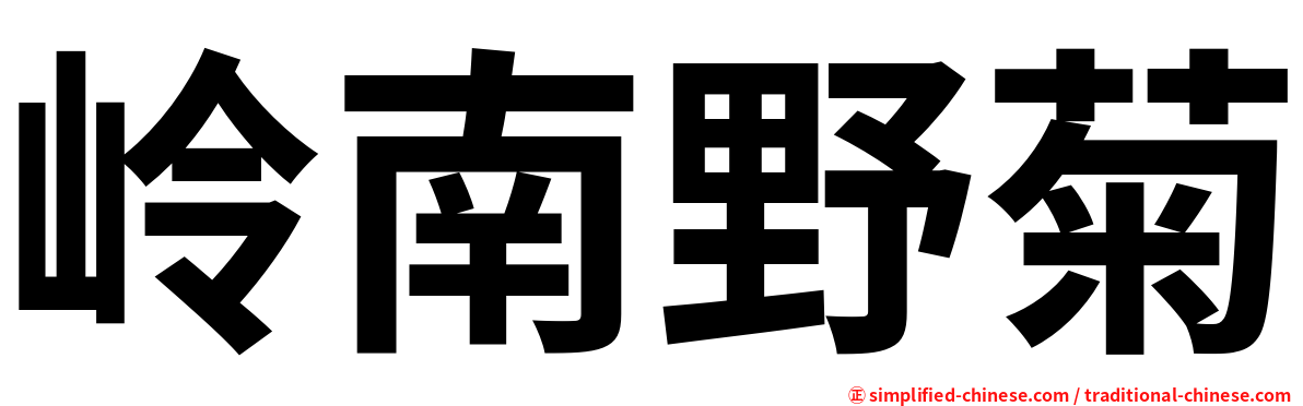 岭南野菊