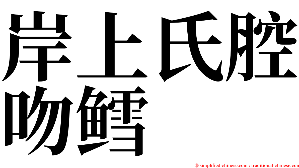 岸上氏腔吻鳕 serif font