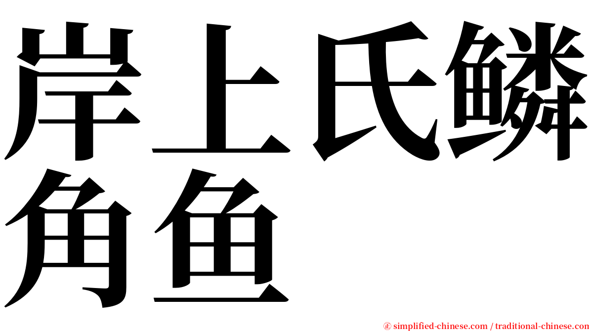 岸上氏鳞角鱼 serif font