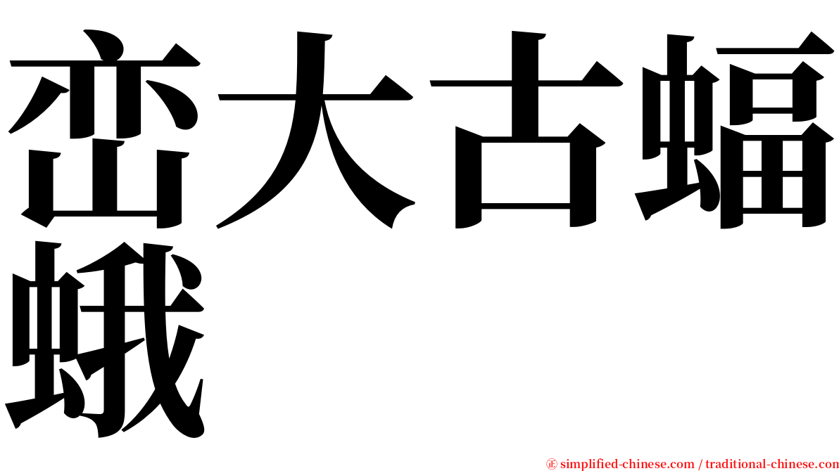 峦大古蝠蛾 serif font