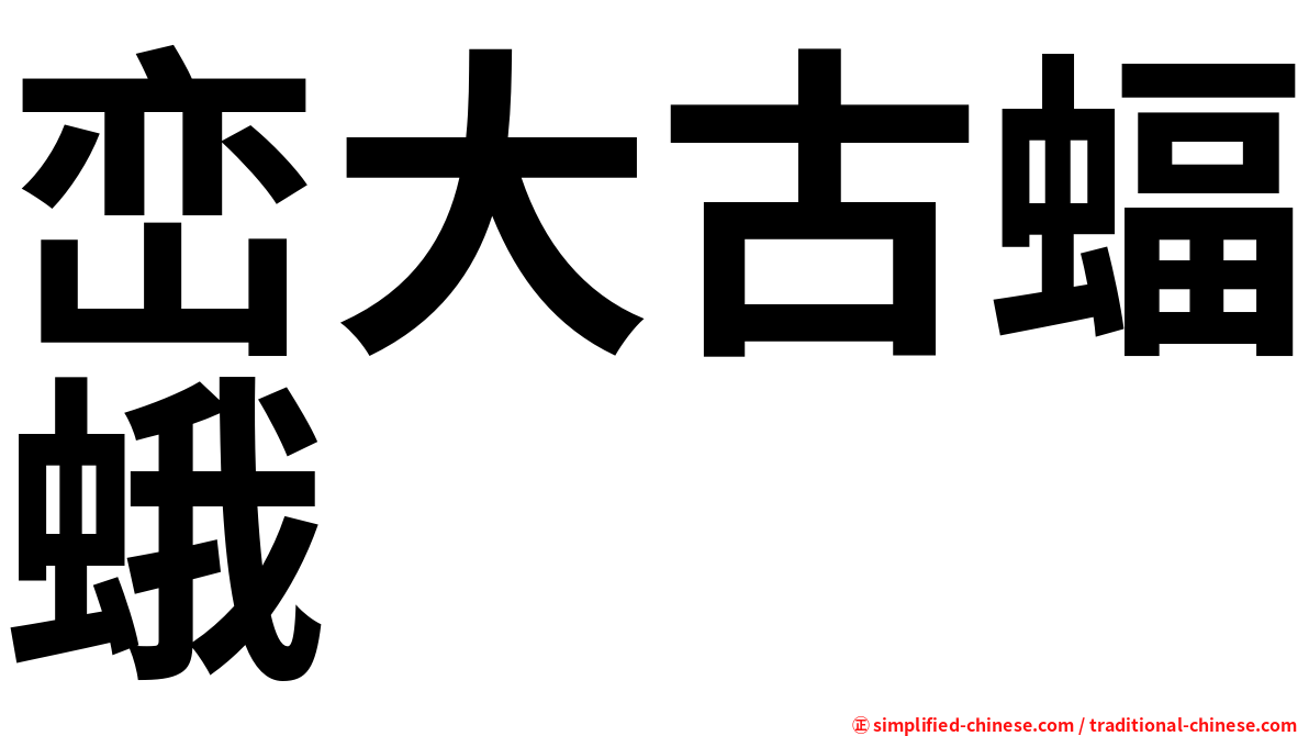 峦大古蝠蛾