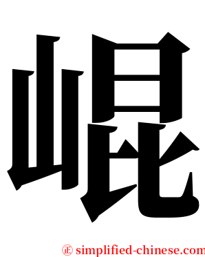 崐 serif font