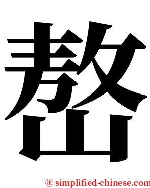 嶅 serif font