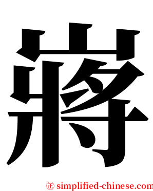 嶈 serif font