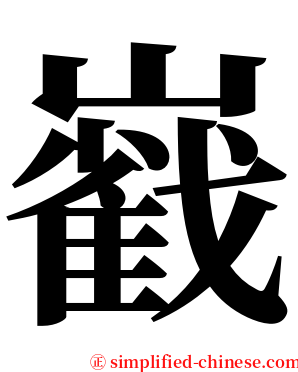 巀 serif font