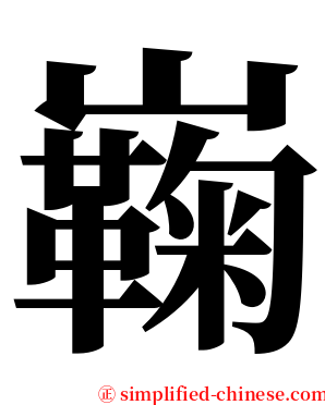 巈 serif font