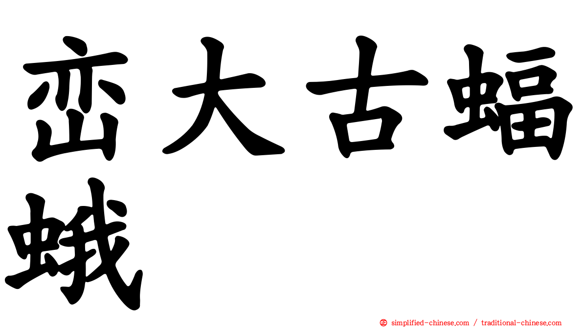 峦大古蝠蛾