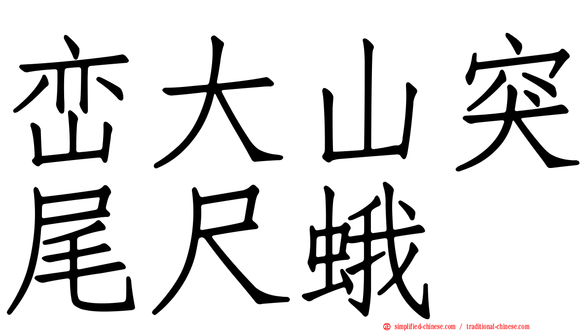 峦大山突尾尺蛾