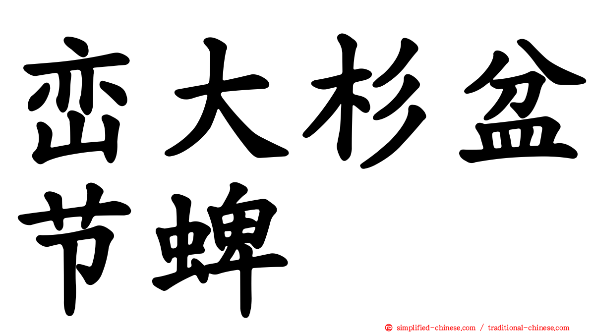 峦大杉盆节蜱