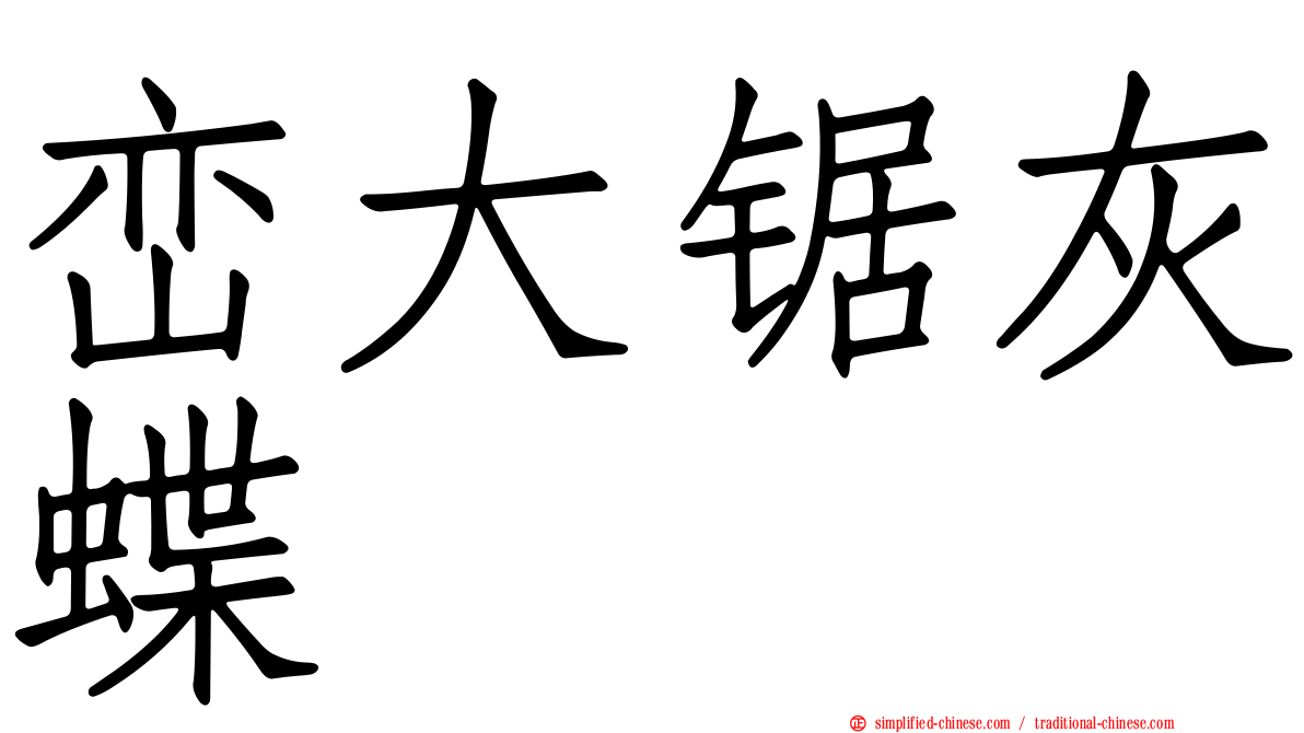 峦大锯灰蝶
