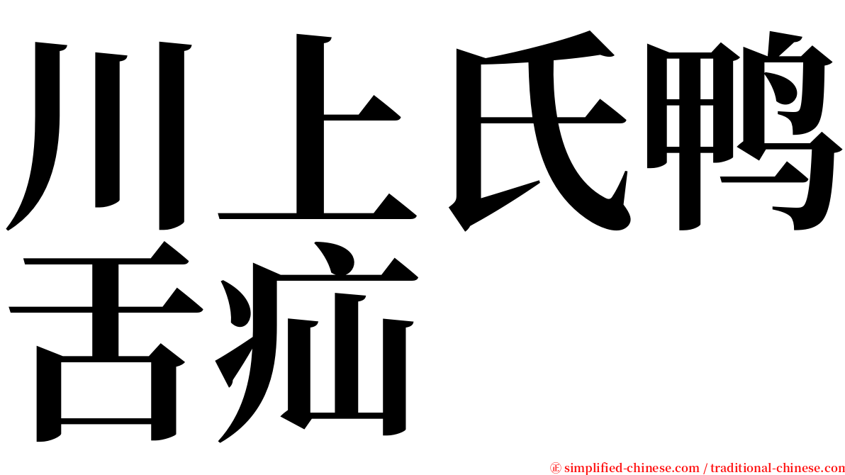 川上氏鸭舌疝 serif font