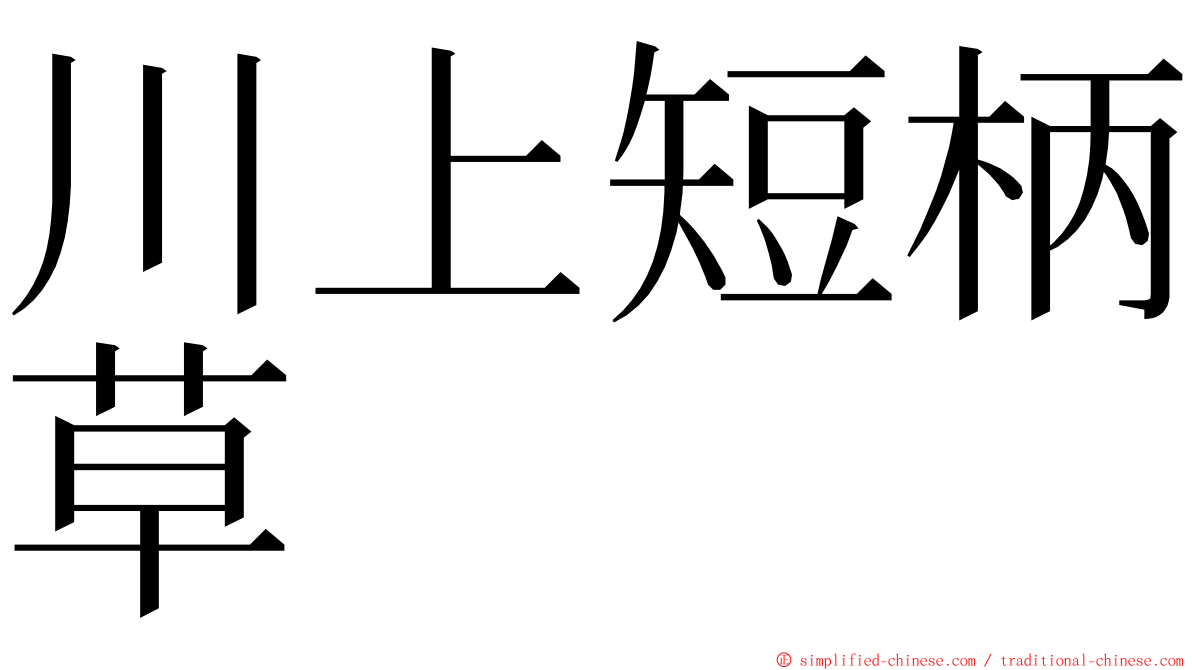 川上短柄草 ming font
