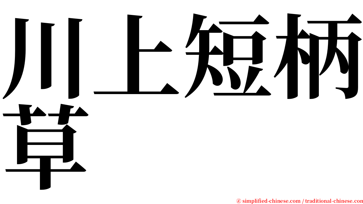 川上短柄草 serif font