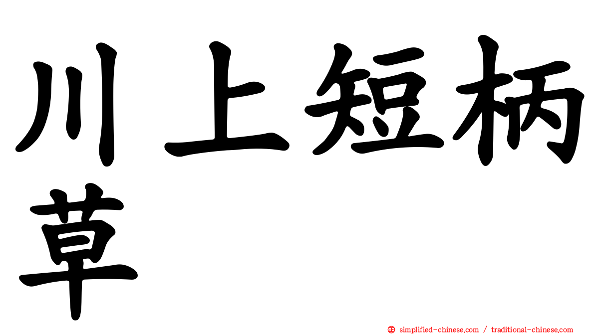 川上短柄草