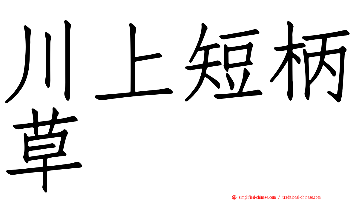 川上短柄草