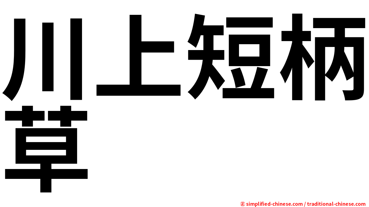 川上短柄草