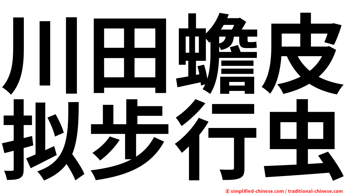 川田蟾皮拟步行虫
