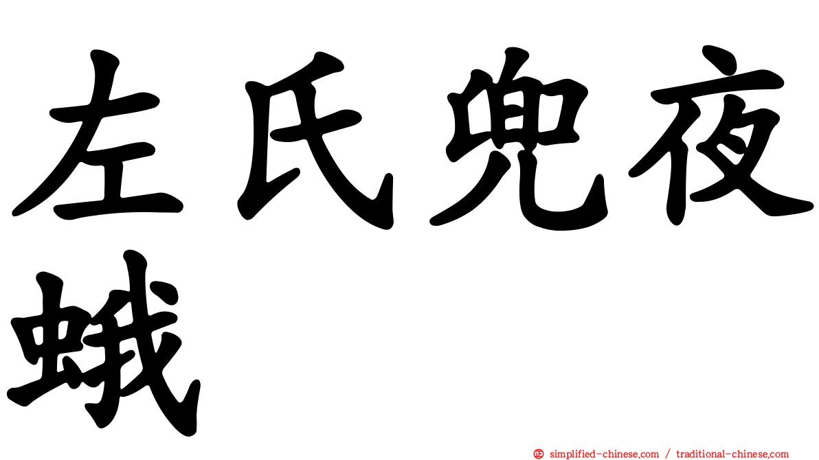 左氏兜夜蛾