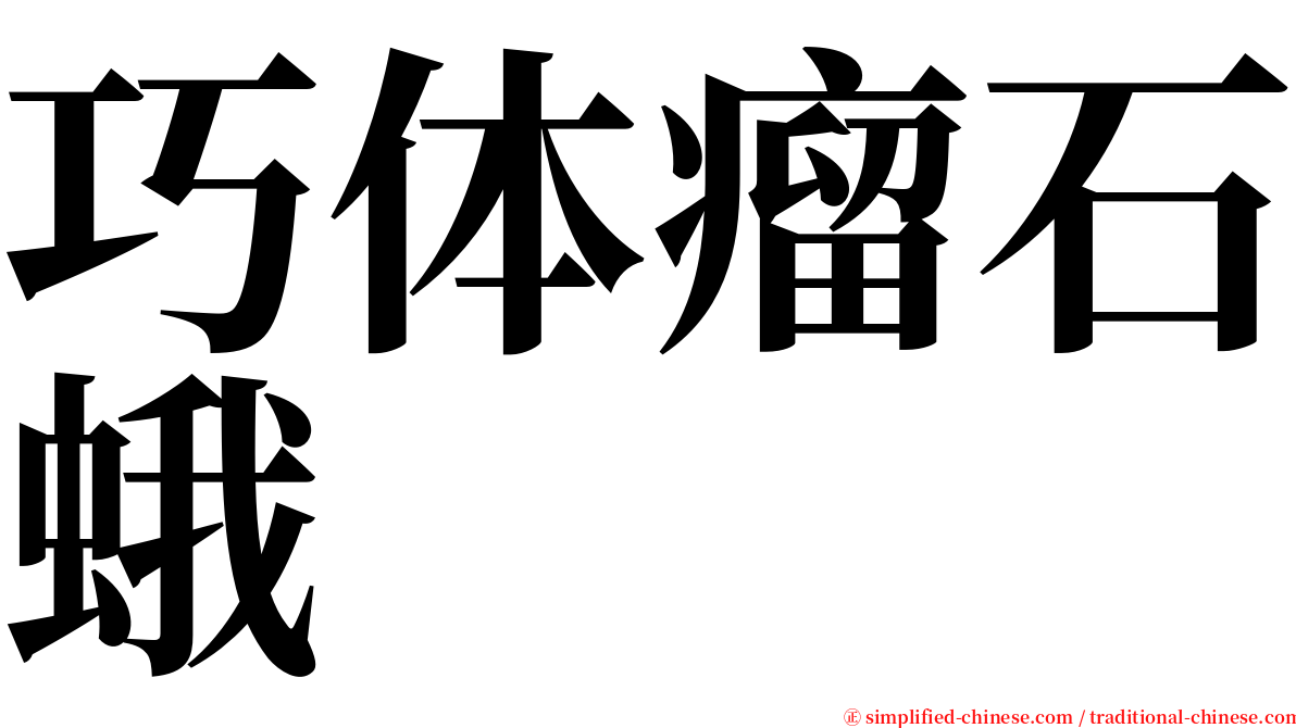 巧体瘤石蛾 serif font