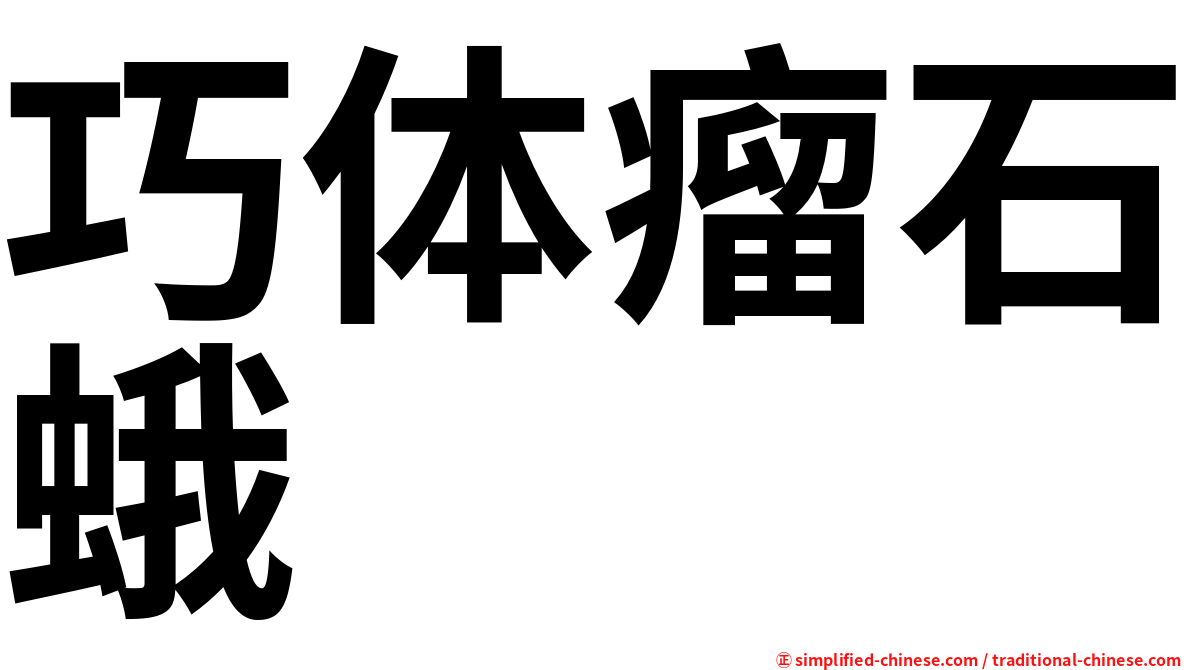 巧体瘤石蛾