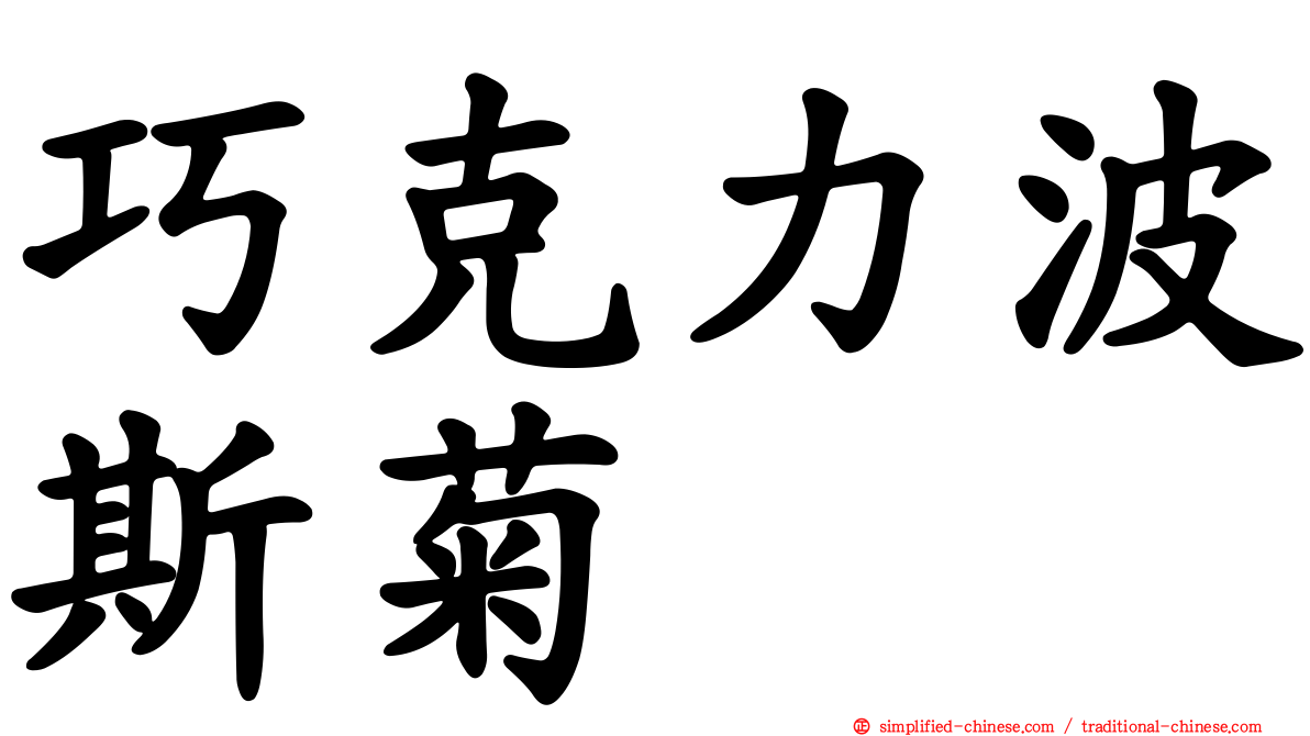 巧克力波斯菊