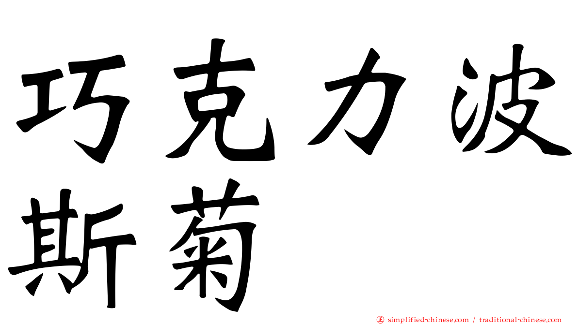 巧克力波斯菊