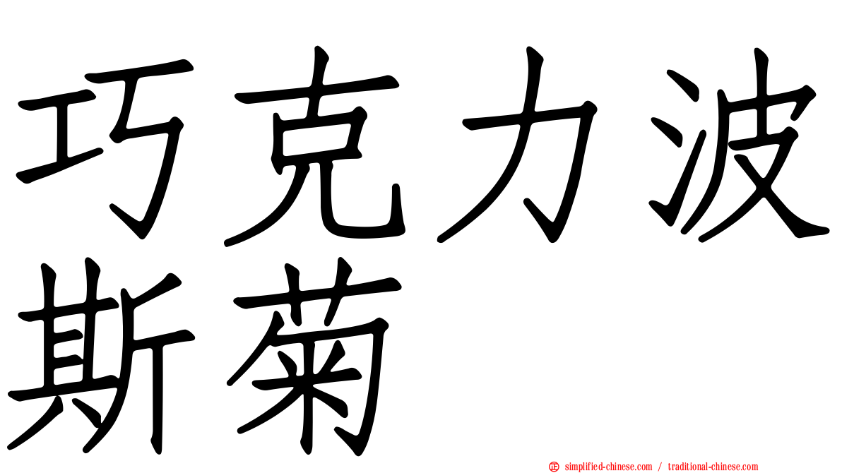 巧克力波斯菊