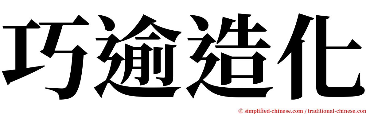 巧逾造化 serif font
