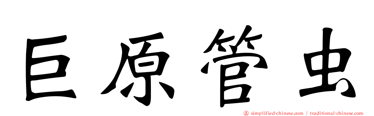 巨原管虫